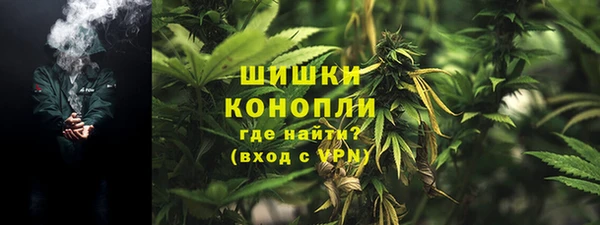 стаф Пролетарск
