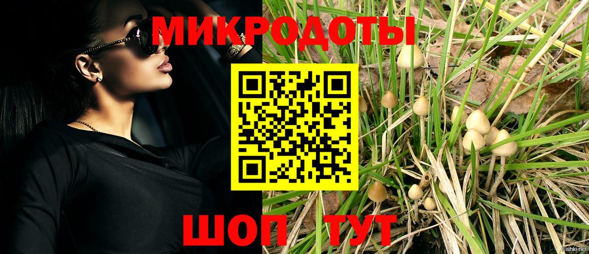 Псилоцибиновые грибы MAGIC MUSHROOMS Семилуки