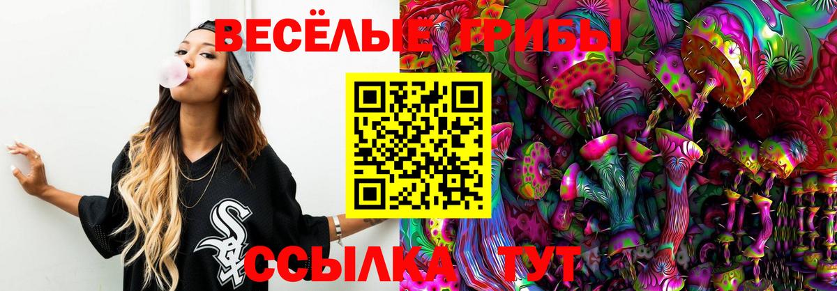 Семилуки  Галлюциногенные грибы Psilocybine cubensis  Вход с VPN  Псилоцибиновые грибы прущие грибы 